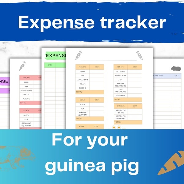 Child Expense Tracker Digital Etsy