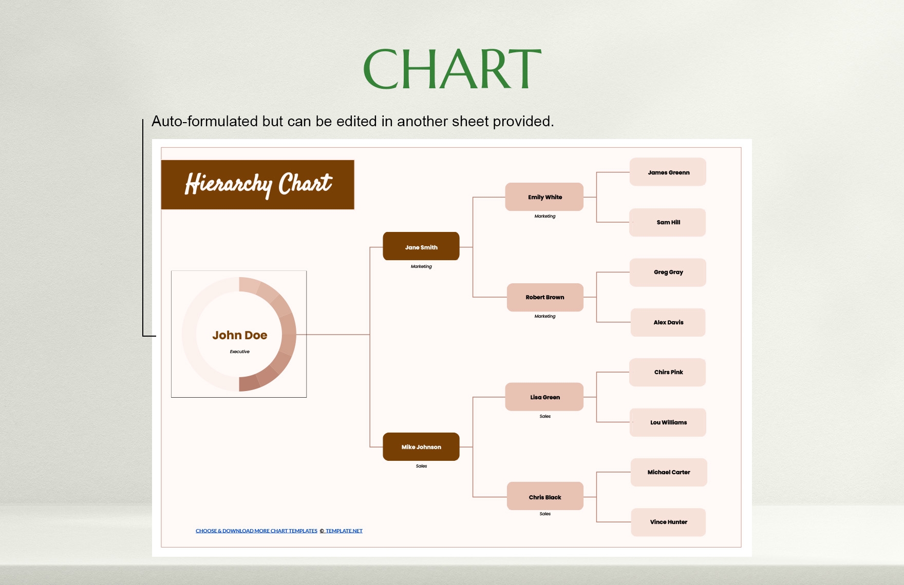 Free Hierarchy Chart Template Download In Excel Google Sheets 
