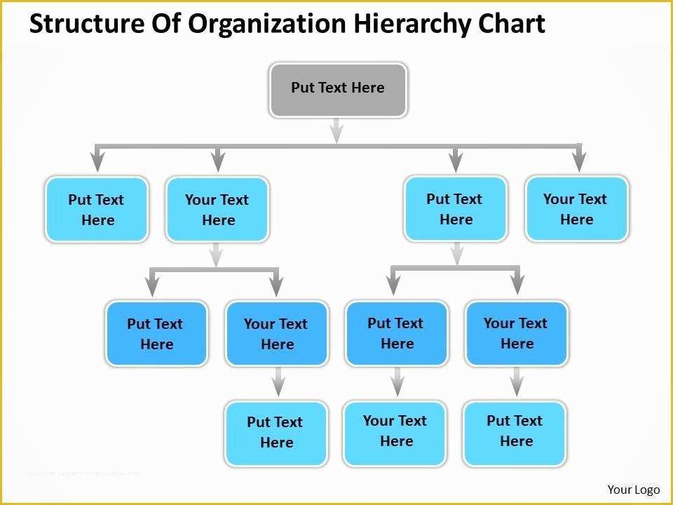 Hierarchy Chart Template Free Of 40 Organizational Chart Templates Word 