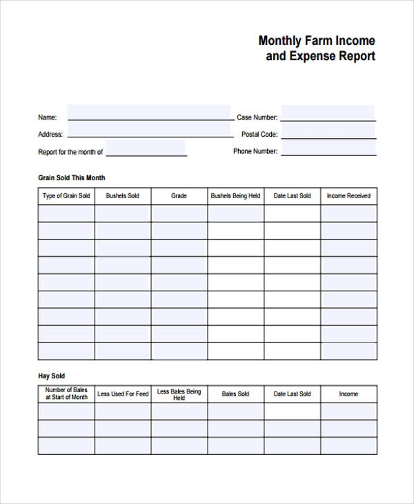 Income And Expense Form Printable Printable Forms Free Online Income And Expense Form Printable Printable Forms Free Online