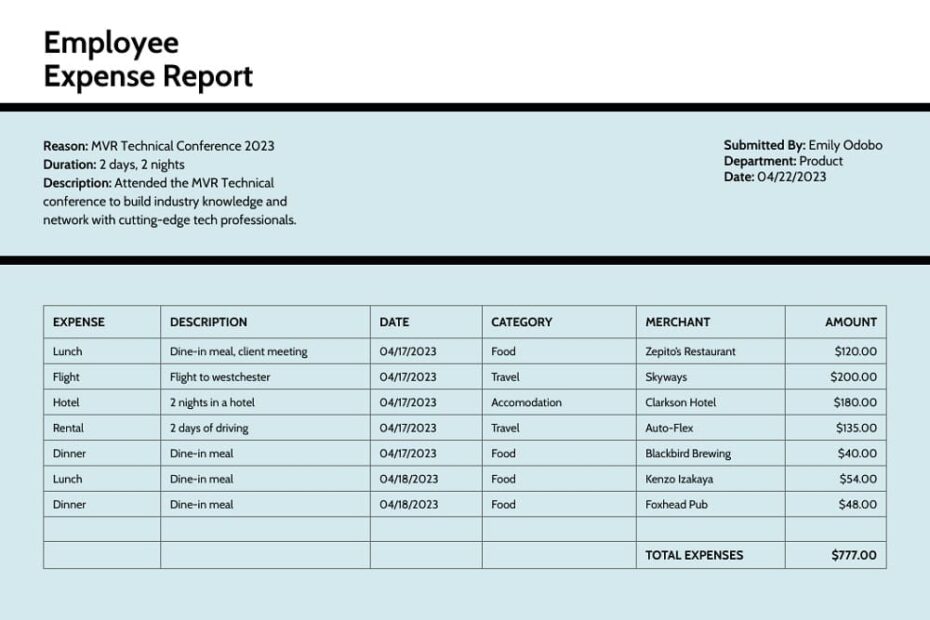 Printable Expense Report Template Download Free Download And Print