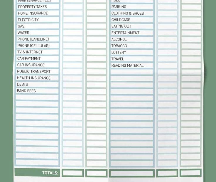 Printable Simple Daily Expense Tracker Questresponse