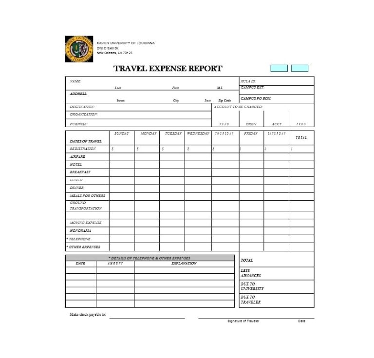 Printable Travel Expenses Report Template Example Templateral