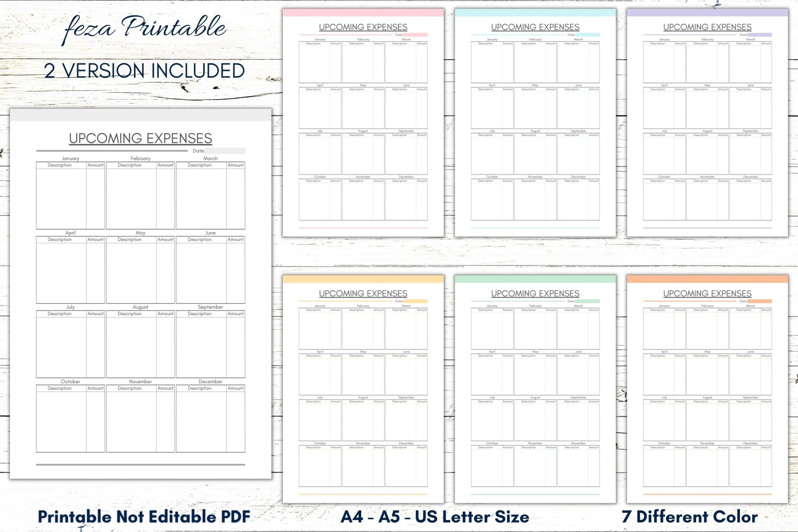 Printable Upcoming Expenses Planner PDF Upcoming Expense Tracker PDF 
