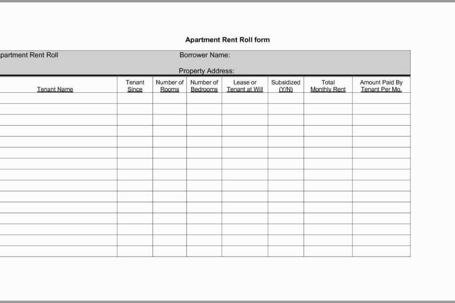 Rent Roll Template Using Vba Excel Dev onallcylinders