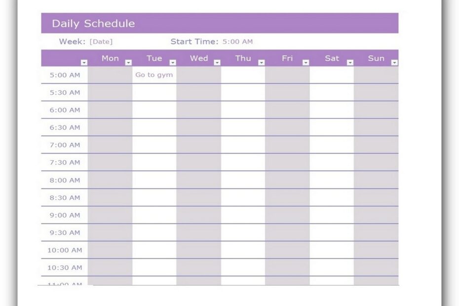 Sensational Tips About Daily Schedule Template Excel Fixbook